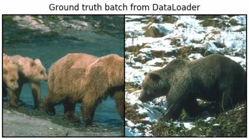 Pytorch DATA LOADING, BATCHING, and SHUFFLING ground truth batch